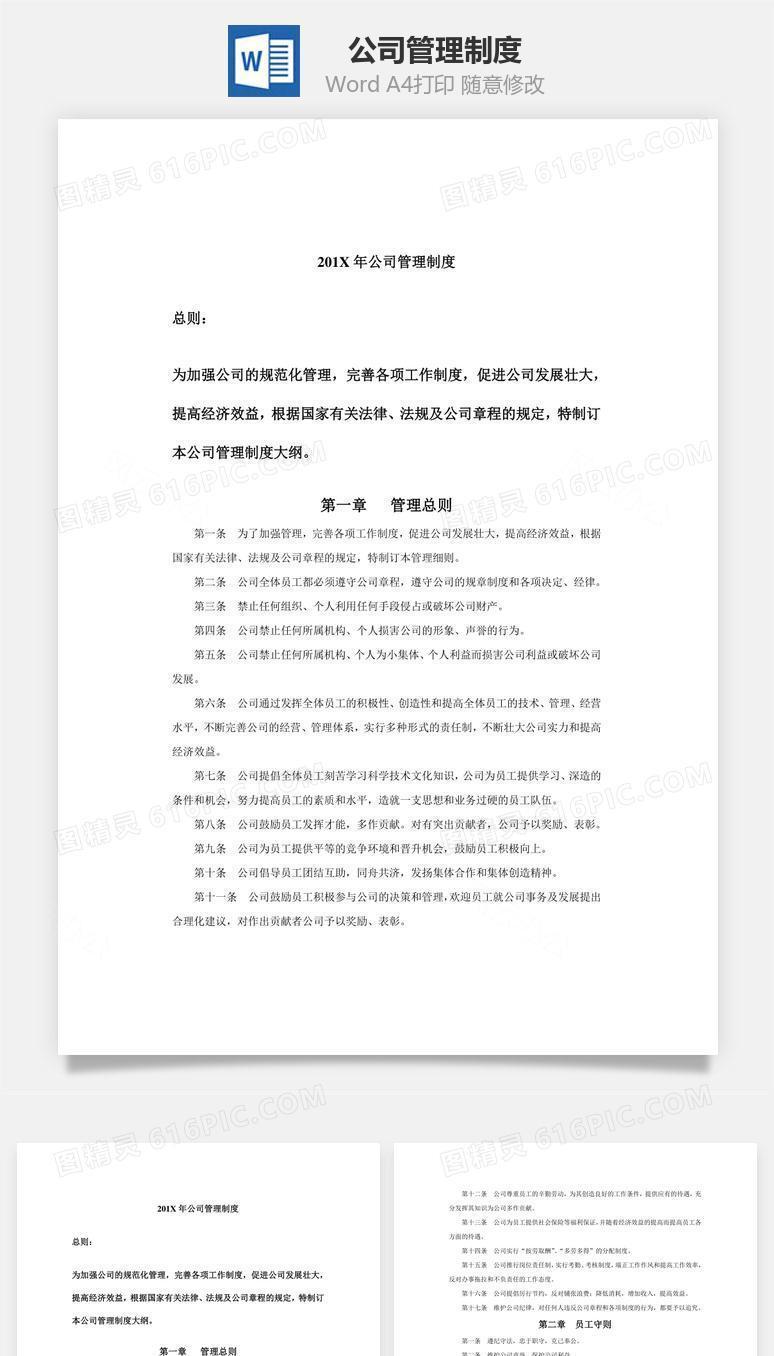 公司管理制度Word文档