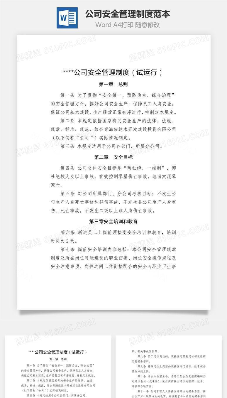 公司安全管理制度范本Word文档