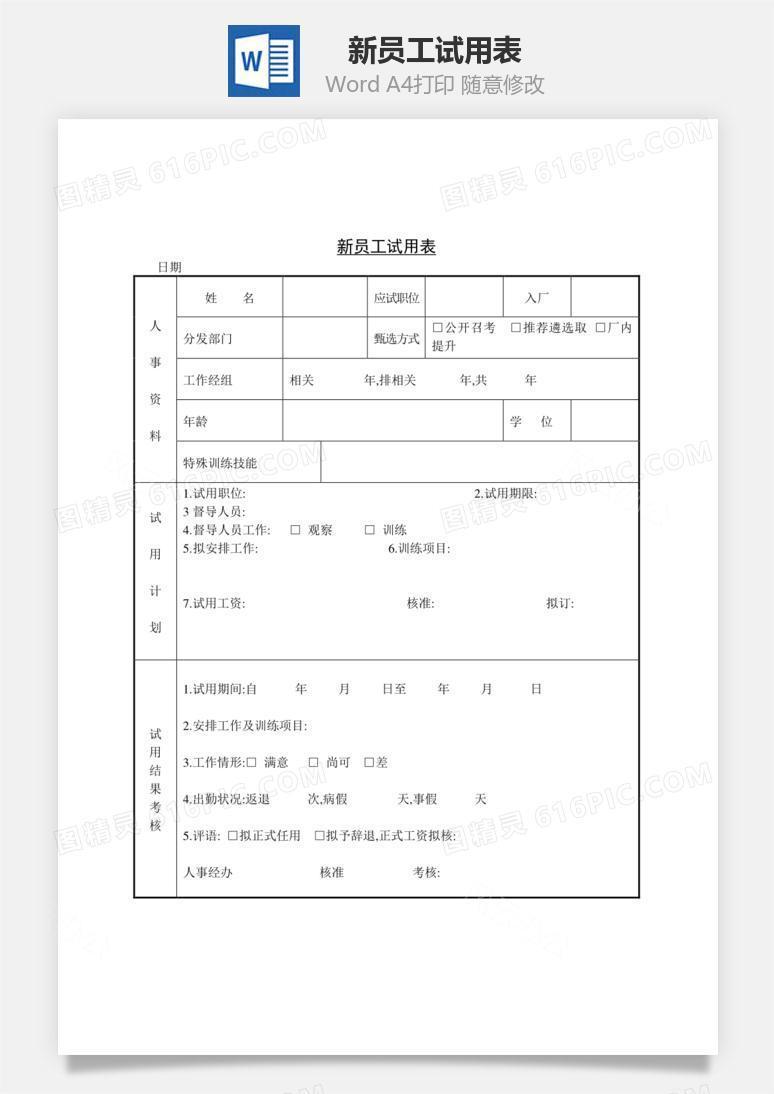 新员工试用表Word文档