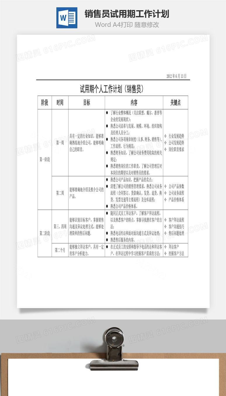 销售员试用期工作计划Word文档