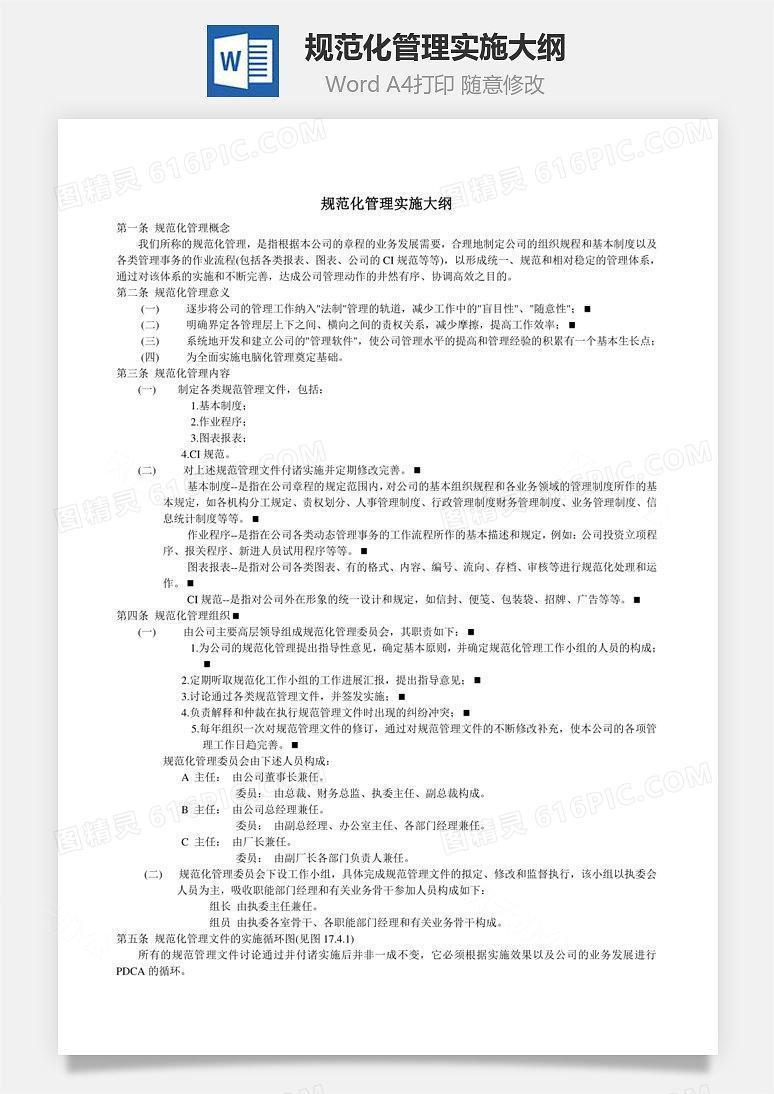 规范化管理实施大纲Word文档