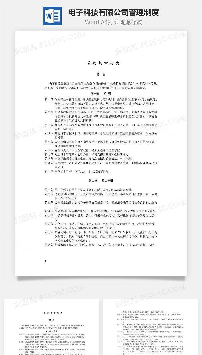 电子科技有限公司管理制度Word文档