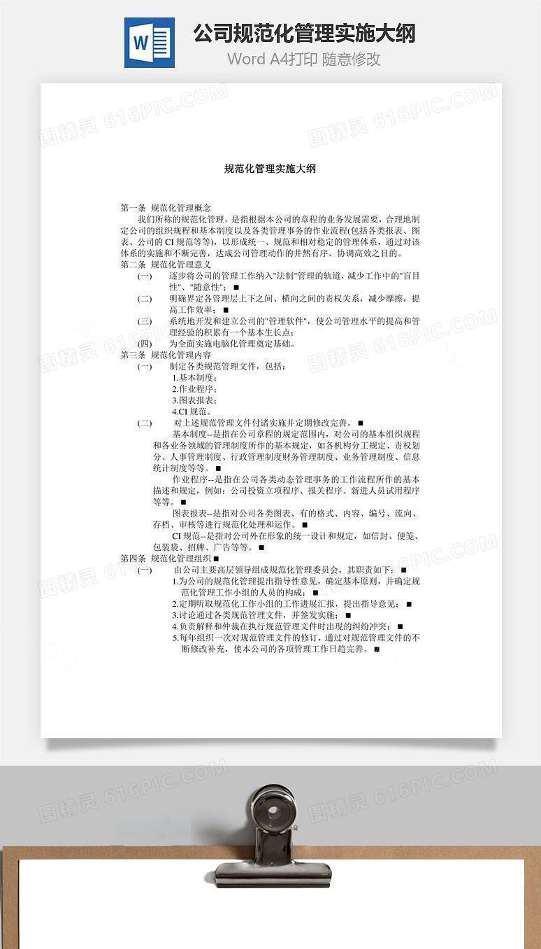 公司规范化管理实施大纲