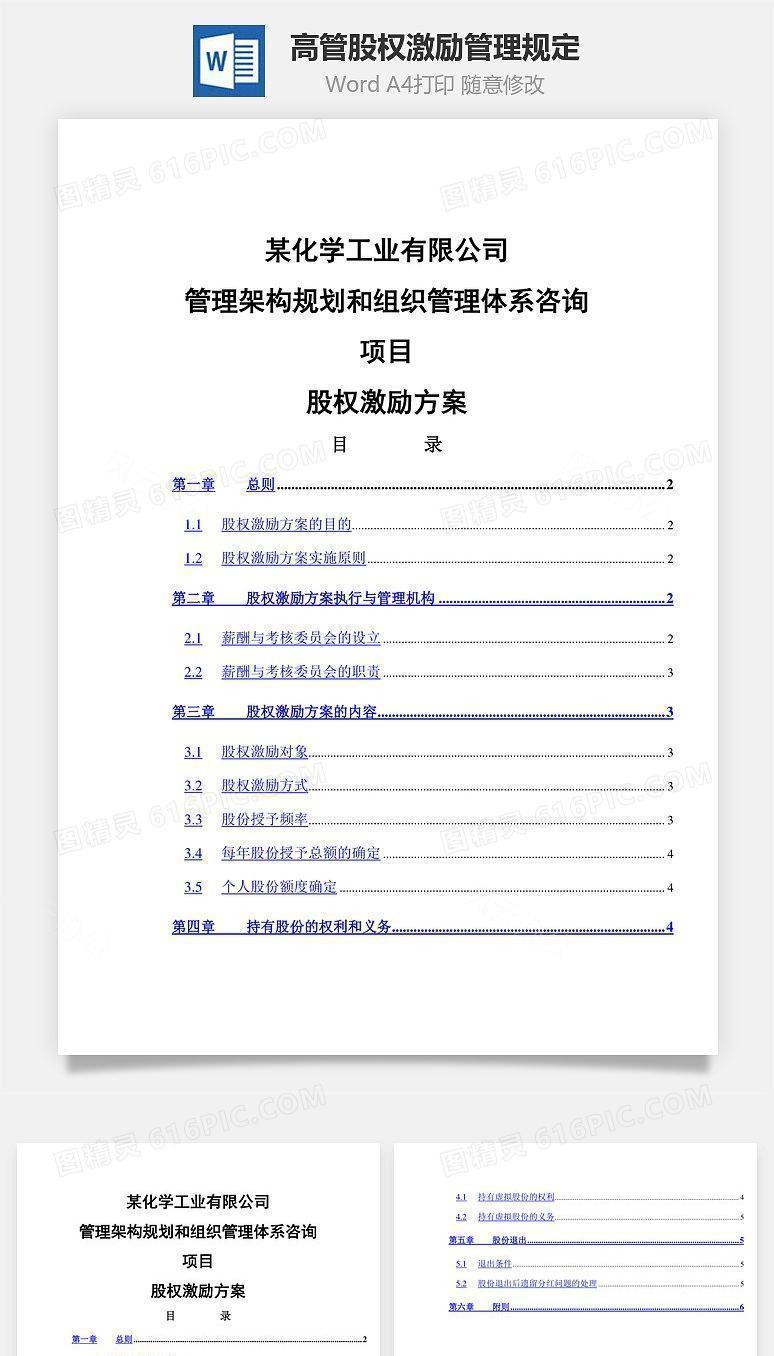 高管股权激励管理规定Word文档