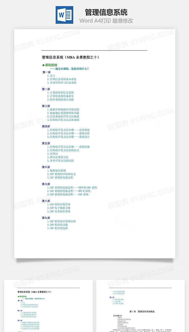 管理信息系统Word文档