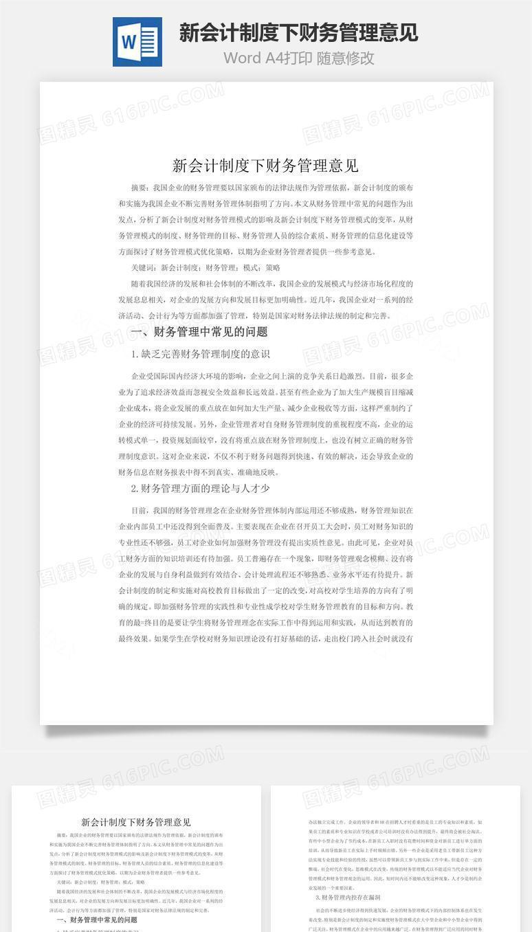 新会计制度下财务管理意见word文档