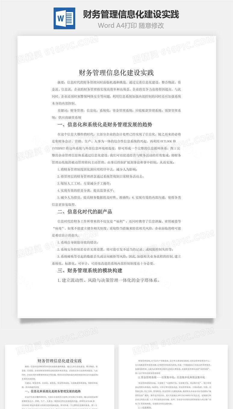 财务管理信息化建设实践word文档