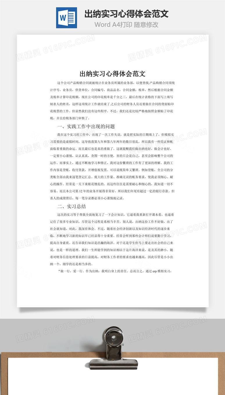 出纳实习心得体会范文word文档