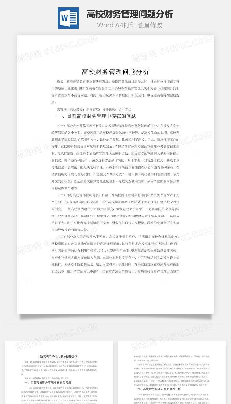 高校财务管理问题分析word文档