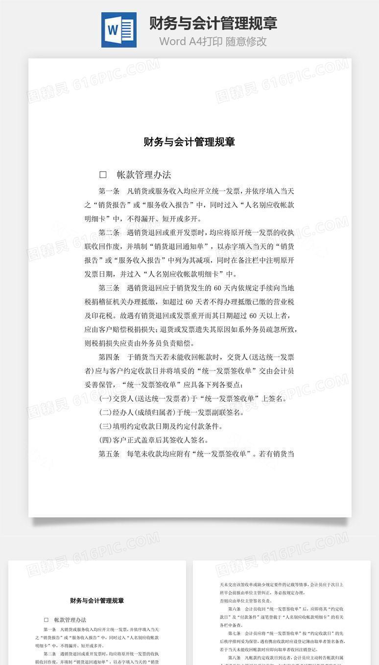 财务与会计管理规章Word文档