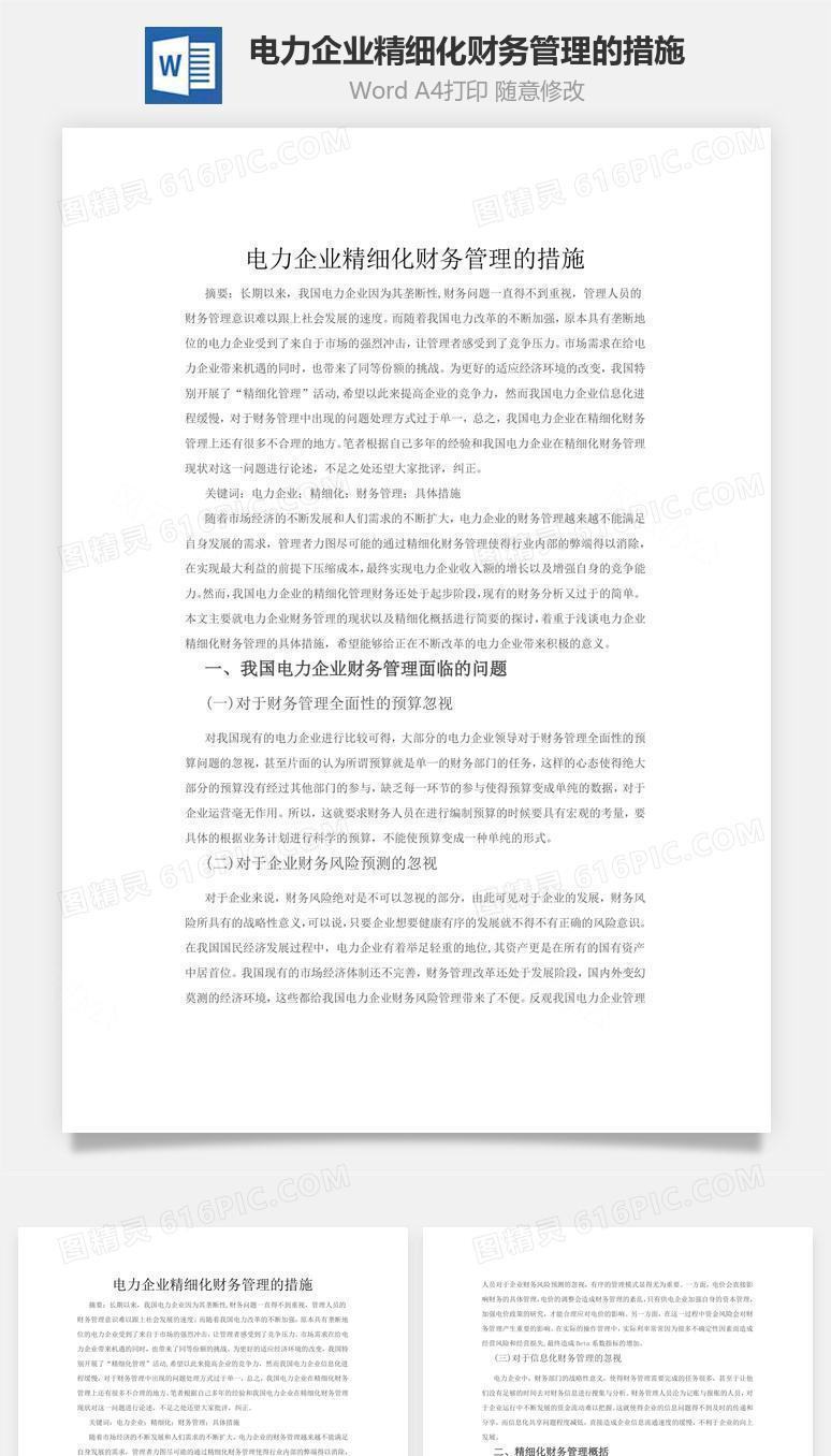 电力企业精细化财务管理的措施word文档