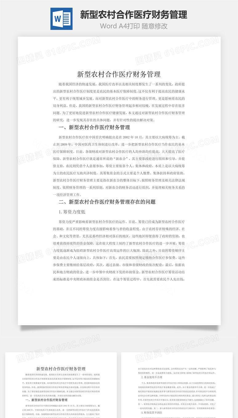 新型农村合作医疗财务管理word文档