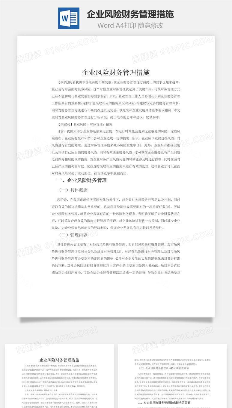 企业风险财务管理措施word文档