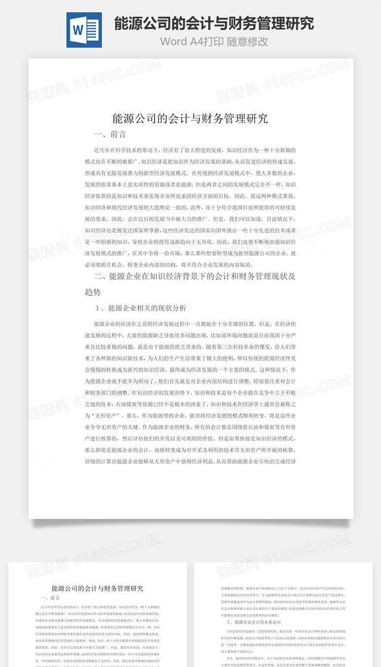 能源公司的会计与财务管理研究word文档
