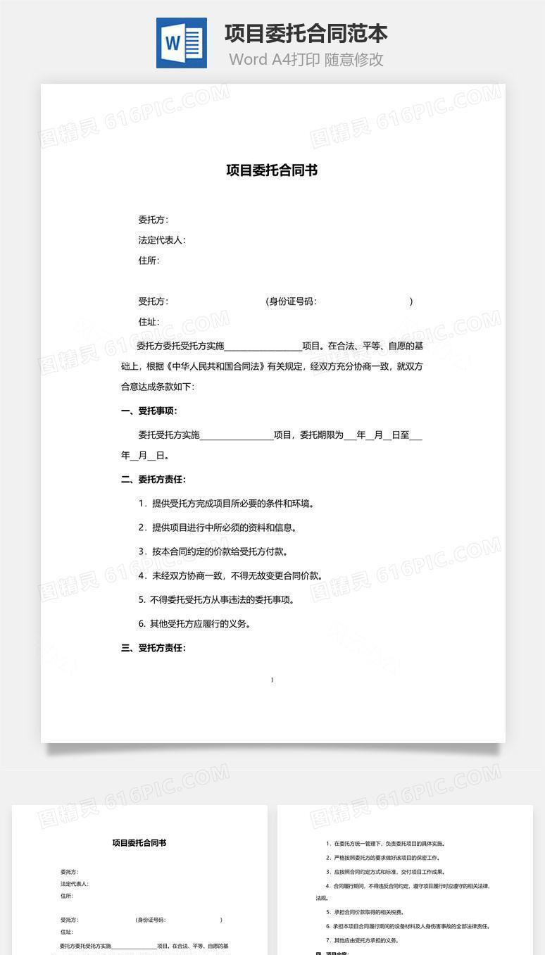 项目委托合同范本