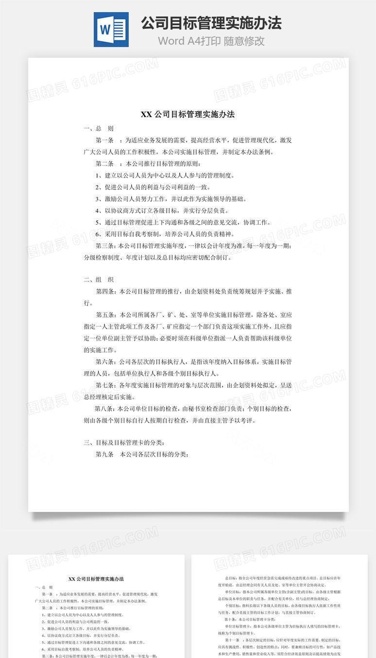 公司目标管理实施办法word文档