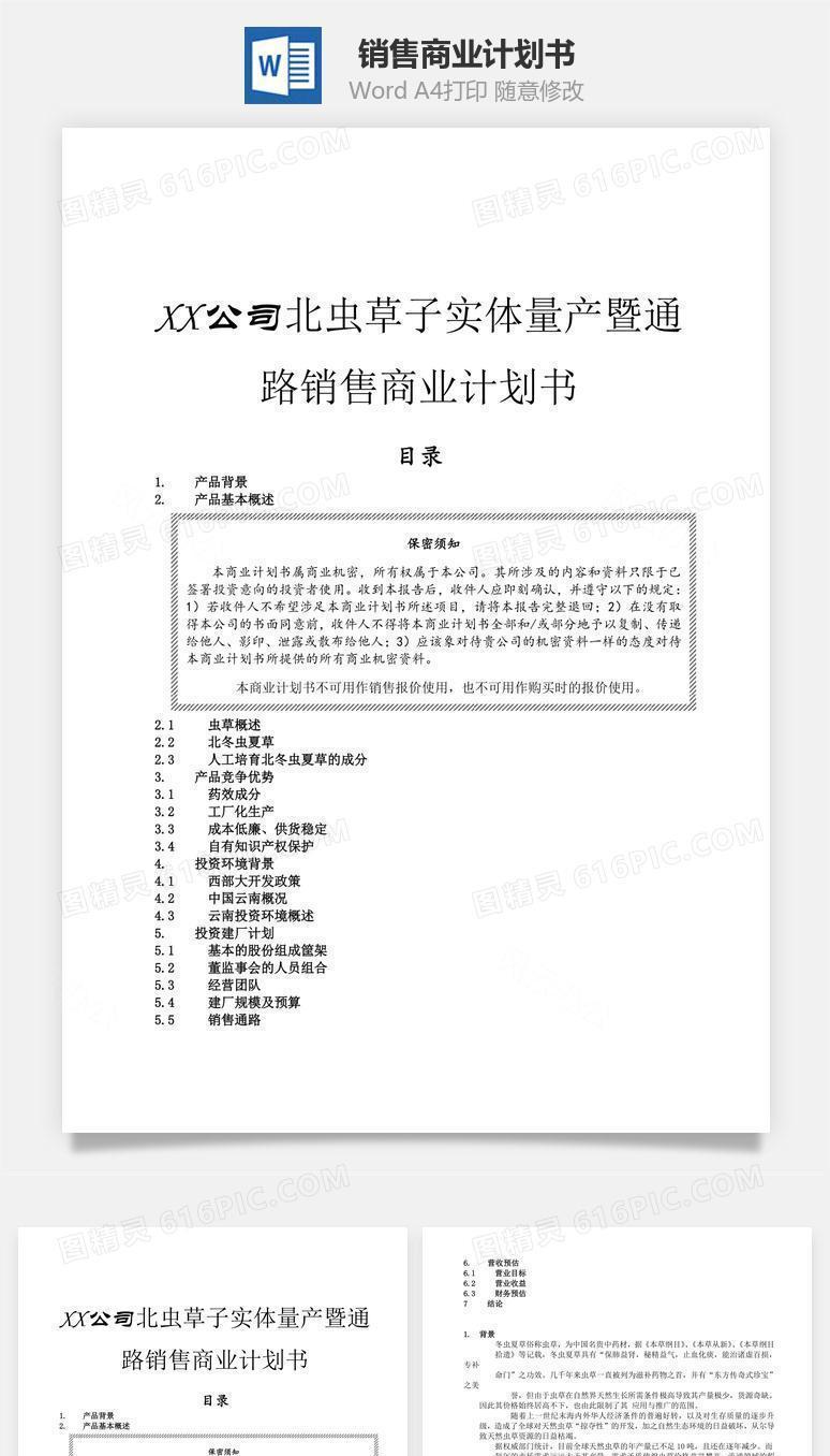 销售商业计划书word文档
