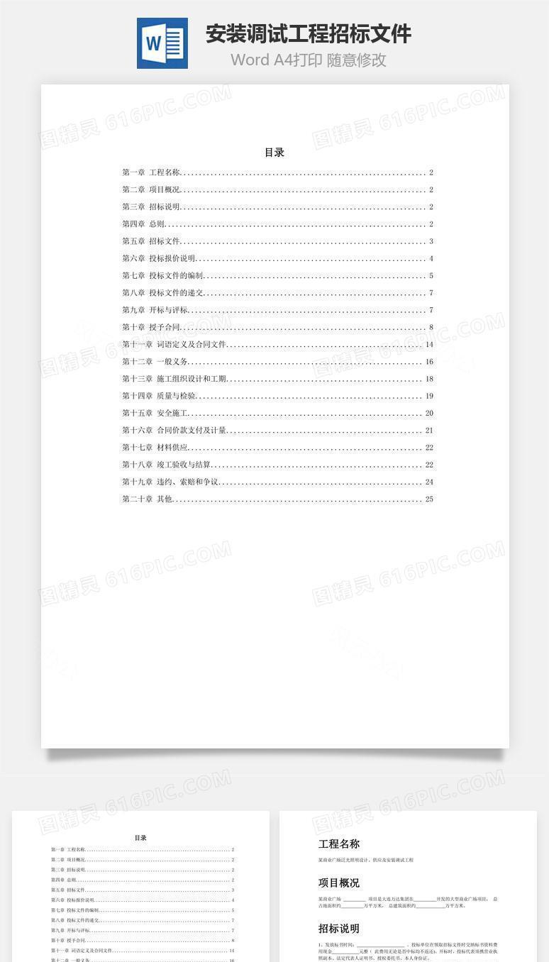 安装调试工程招标文件word文档