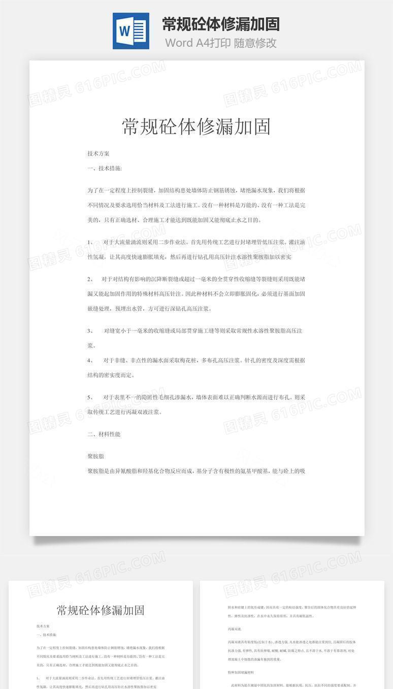 常规砼体修漏加固word文档