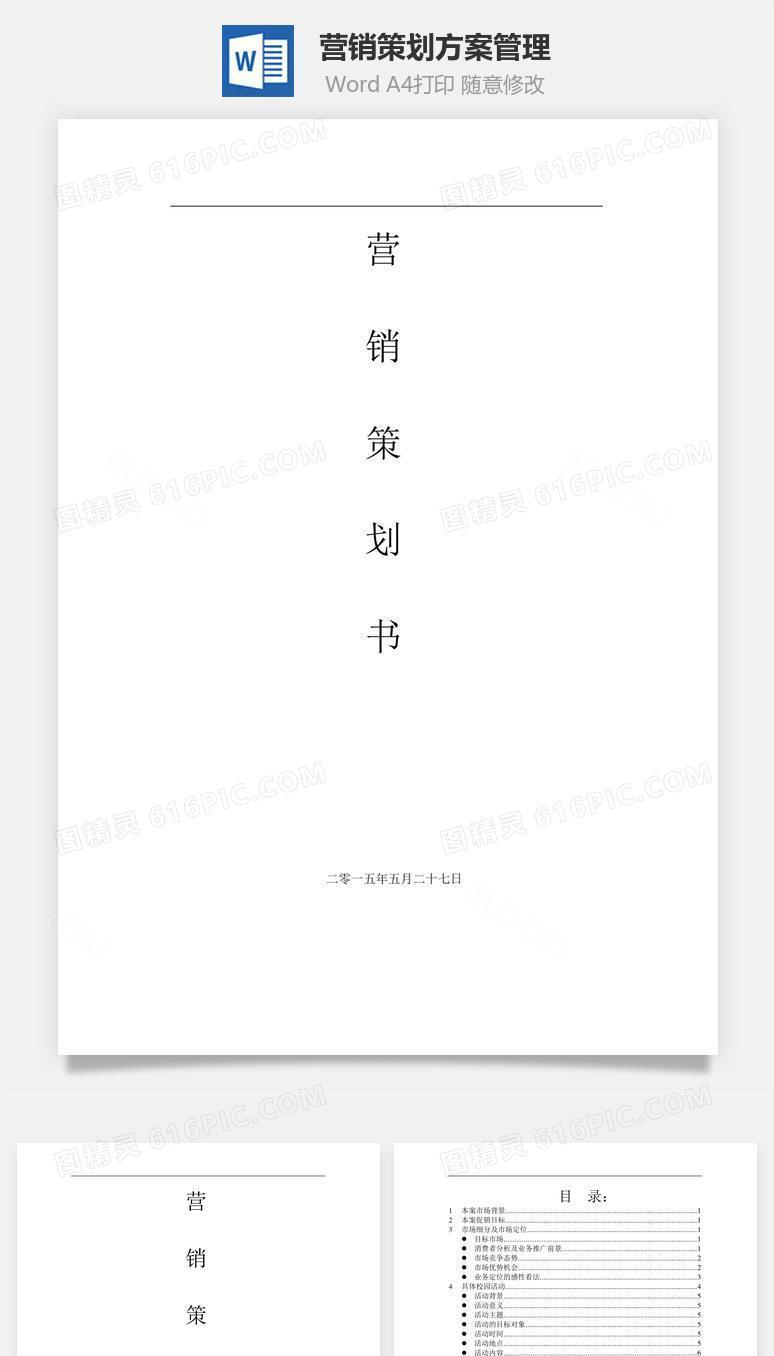 营销策划方案管理word文档