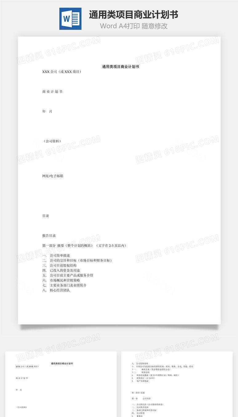通用类项目商业计划书word文档