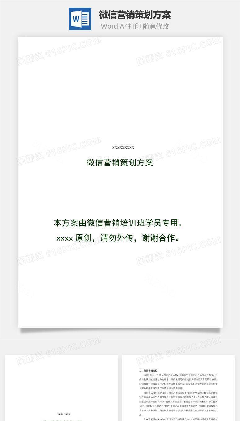 微信营销策划方案word文档