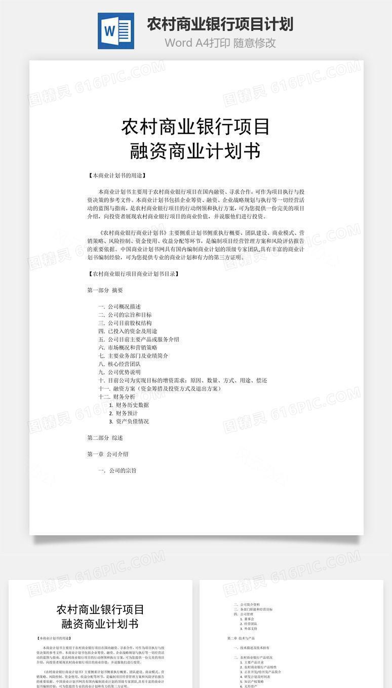 农村商业银行项目计划word文档