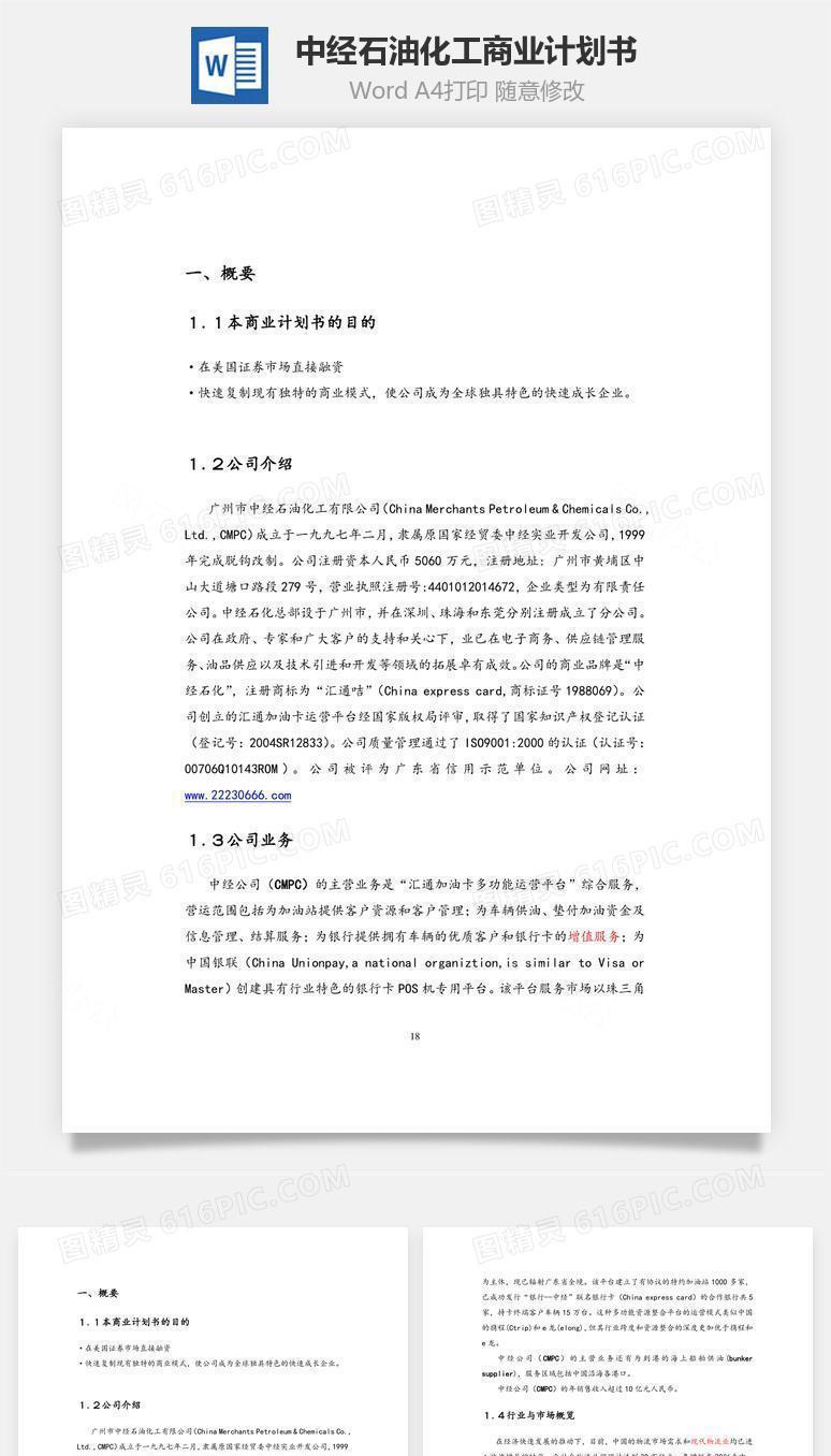 中经石油化工商业计划书word文档