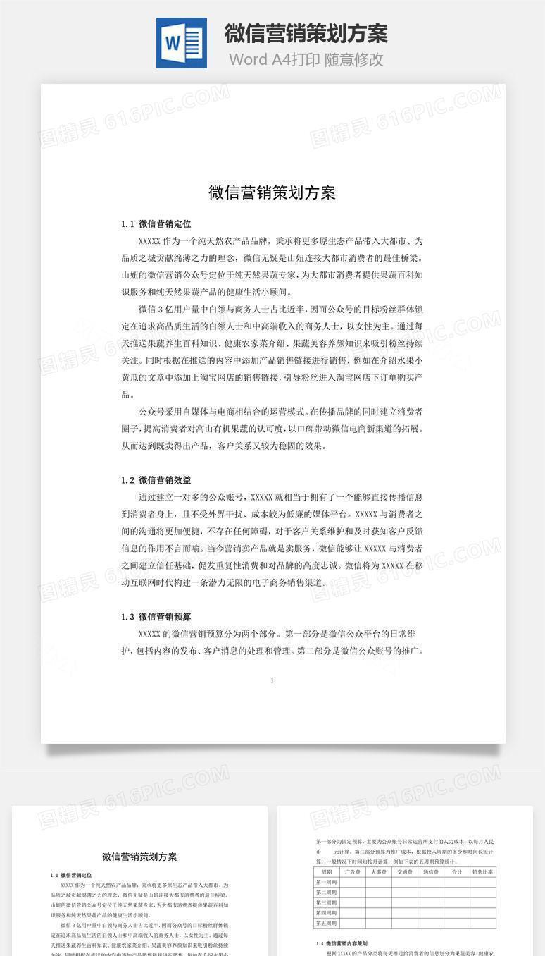 微信营销策划方案word文档