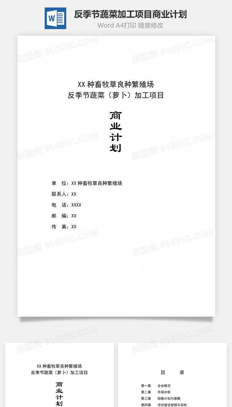 反季节蔬菜加工项目商业计划word文档