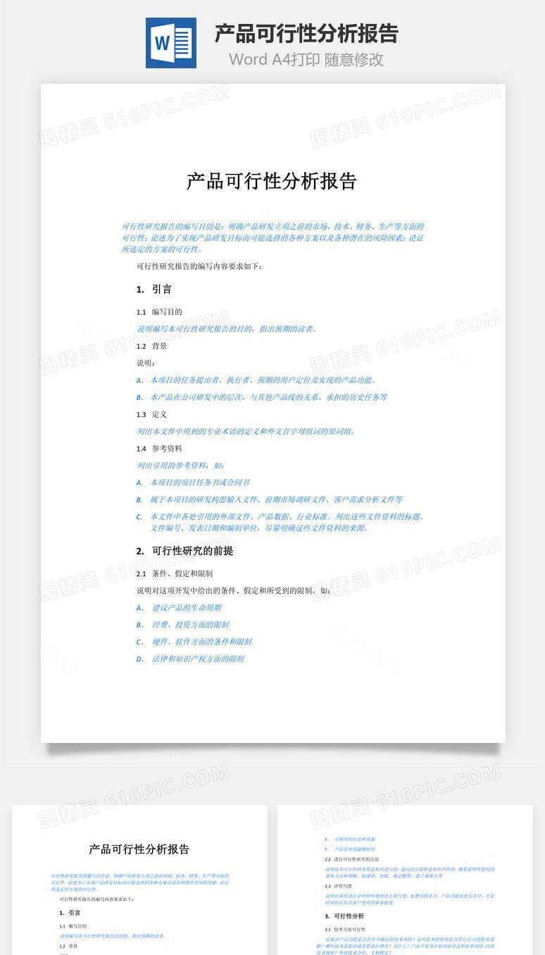 产品可行性分析报告Word文档