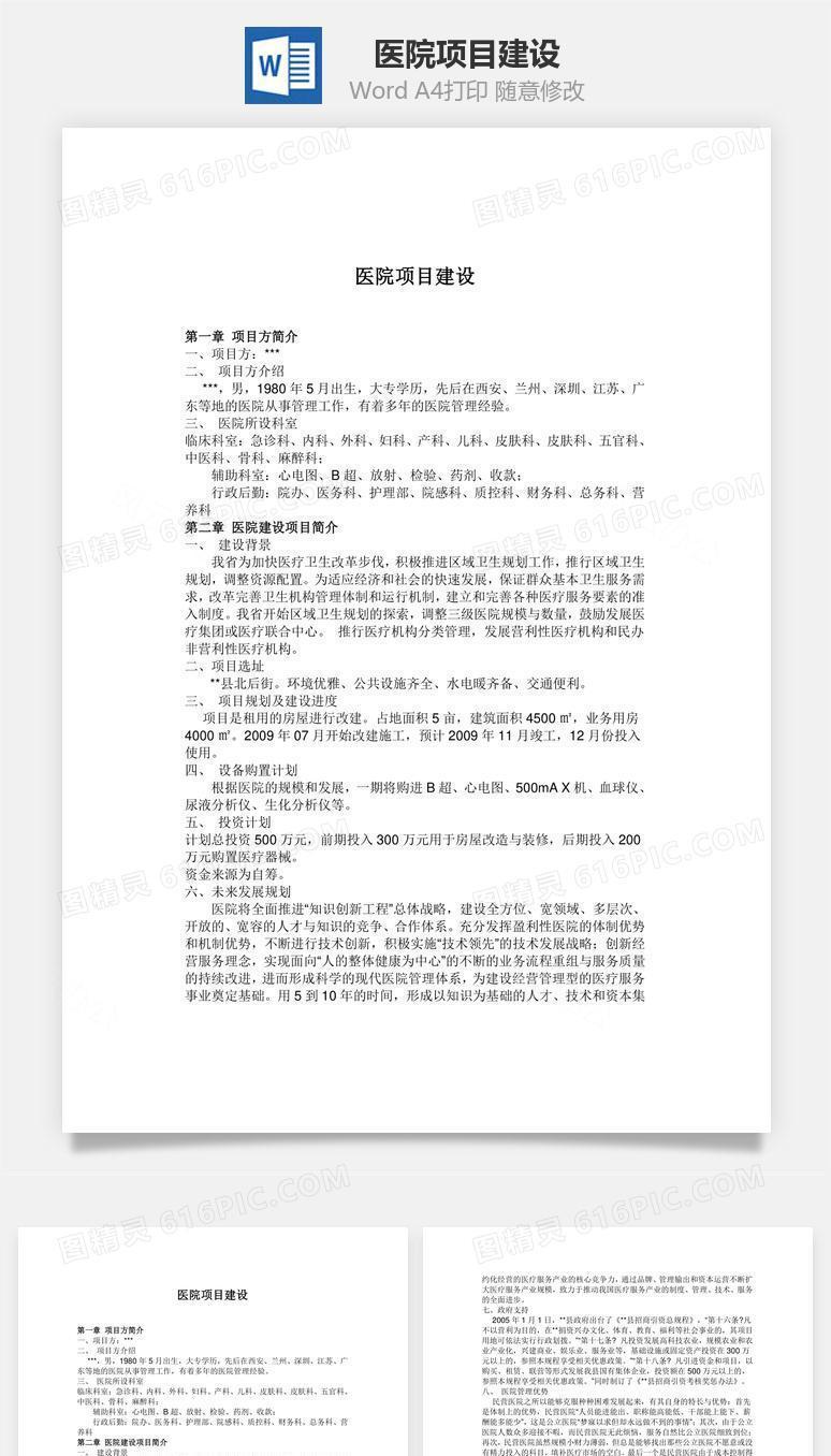 医院项目建设word文档