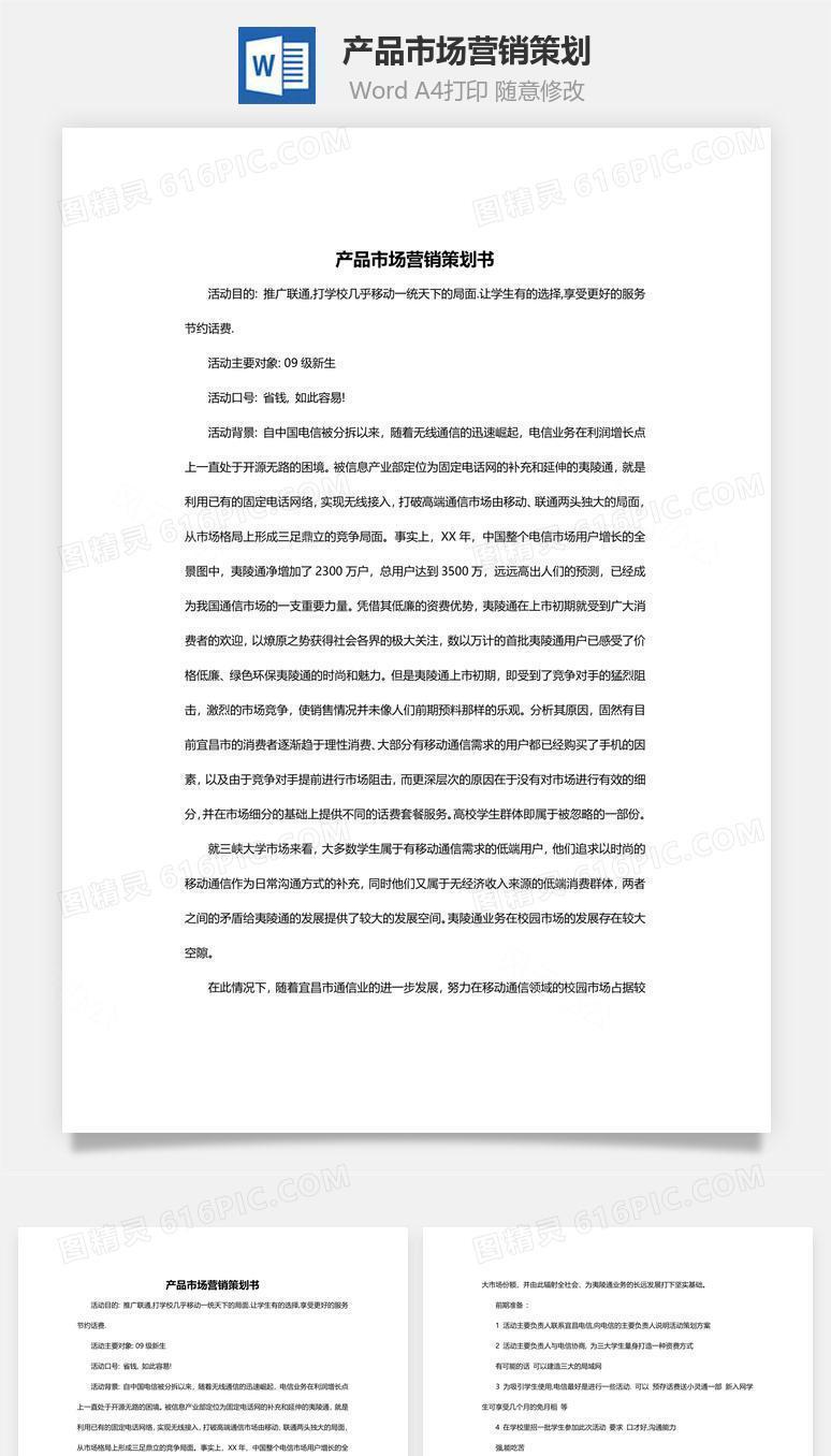 产品市场营销策划Word文档
