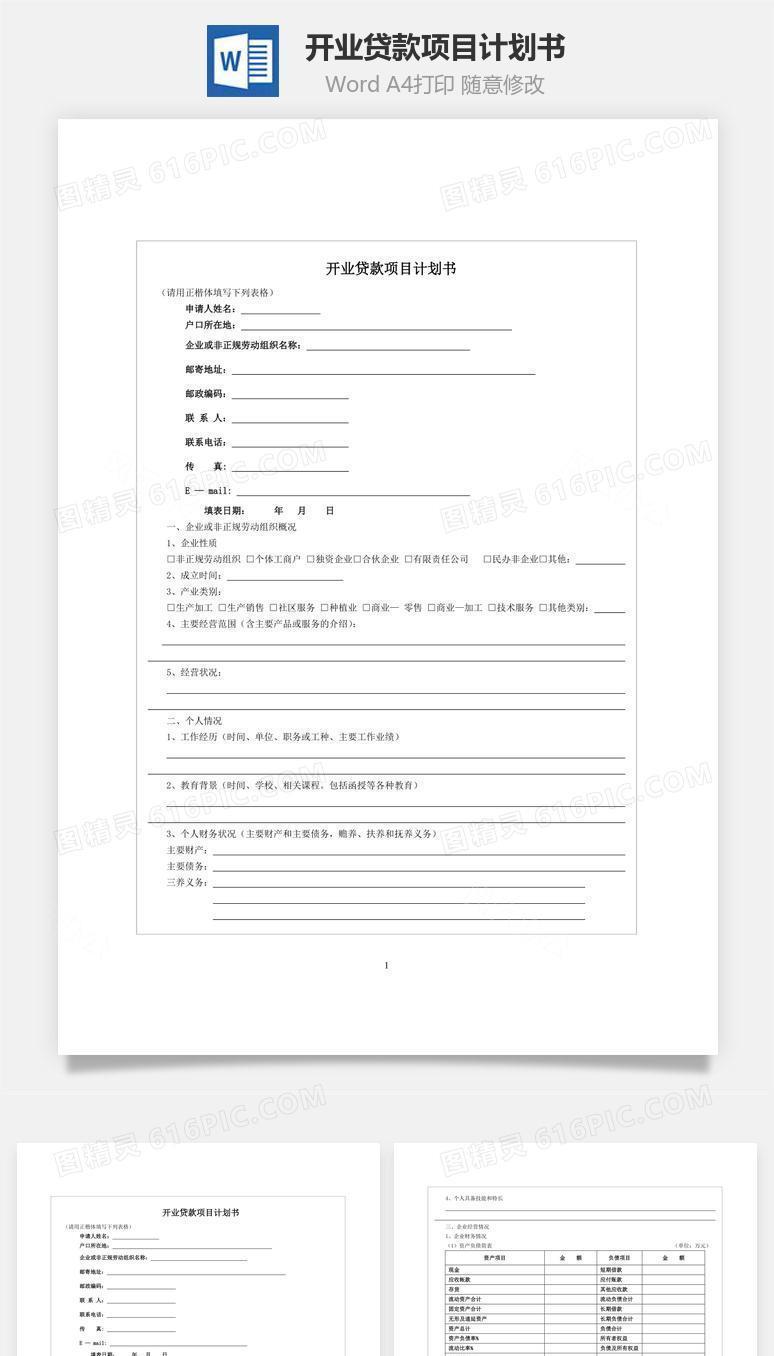 开业贷款项目计划书word文档