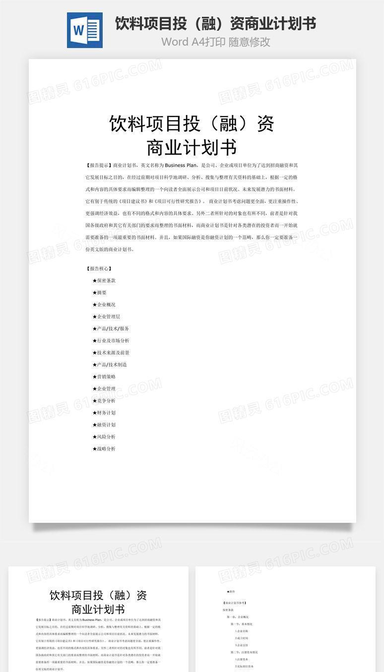饮料项目投（融）资商业计划书word文档