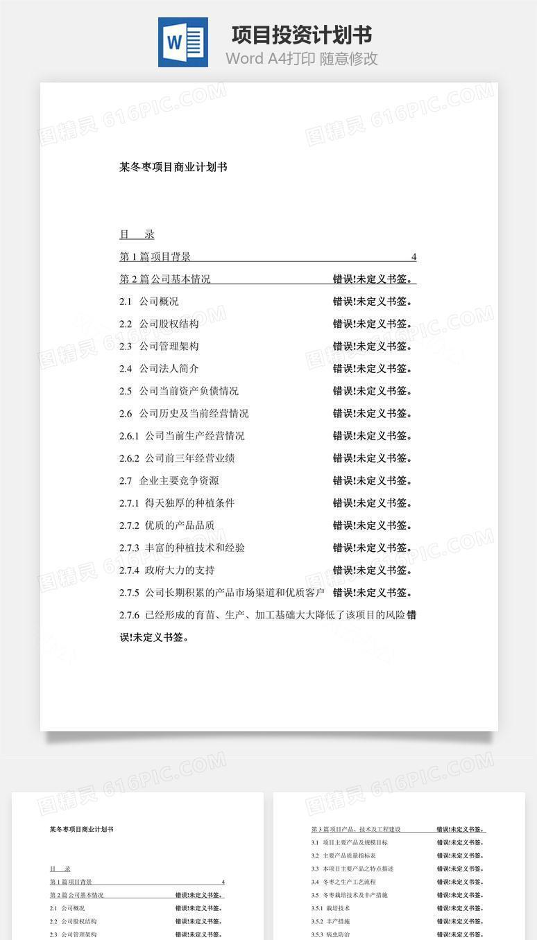 项目投资计划书word文档