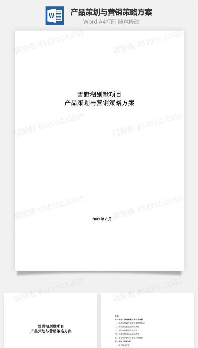 产品策划与营销策略方案word文档