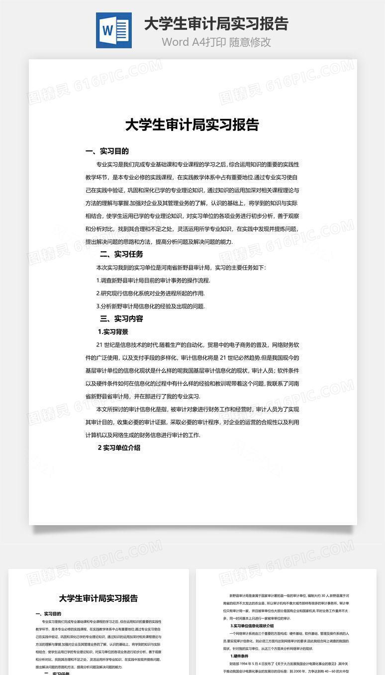 大学生审计局实习报告word文档