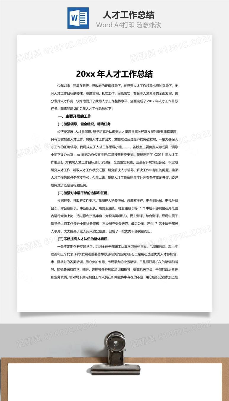 人才工作总结word文档