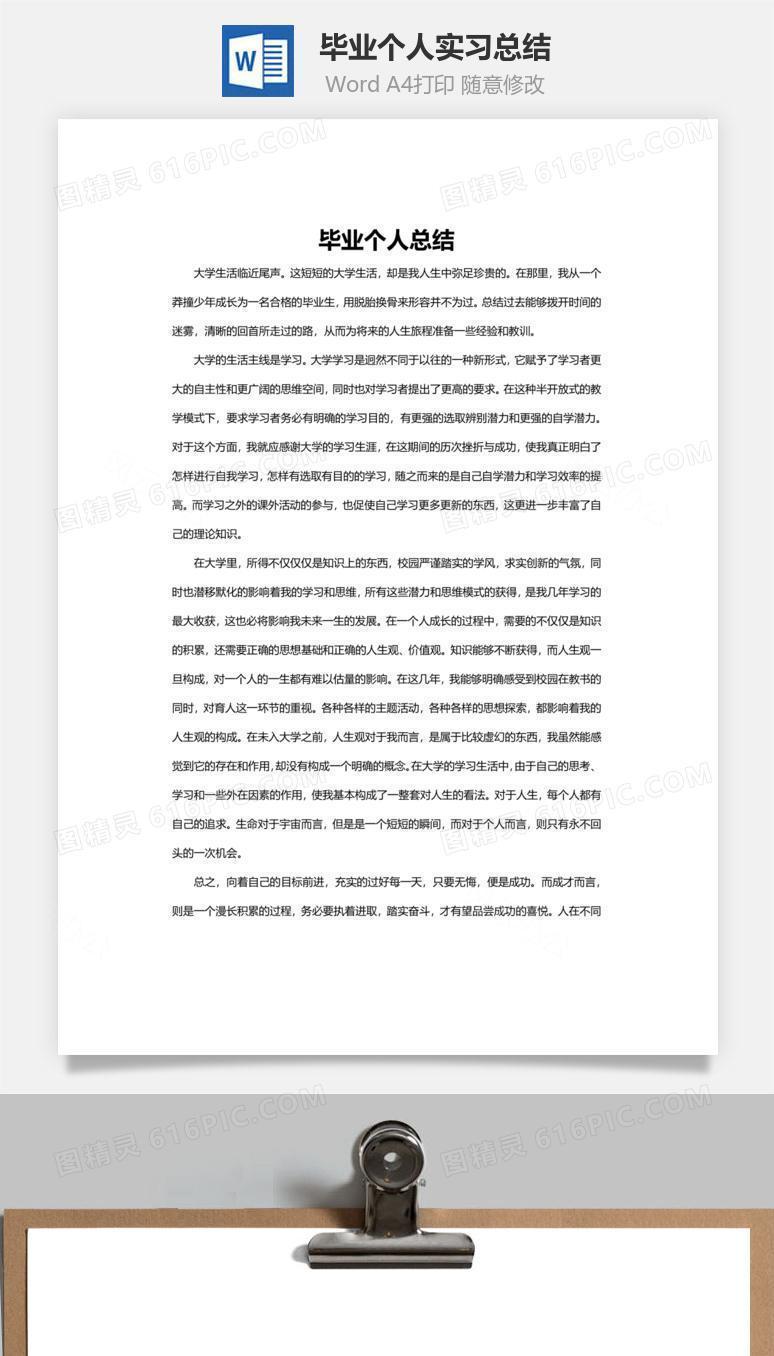 毕业个人实习总结word文档