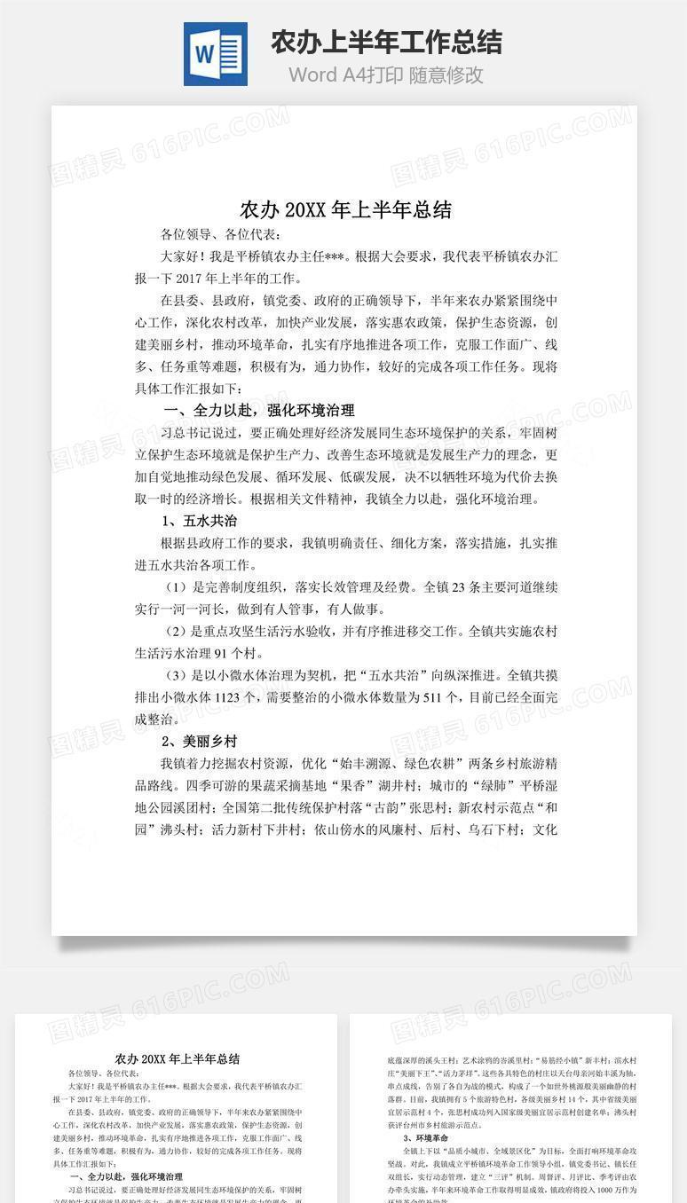 农办上半年工作总结word文档
