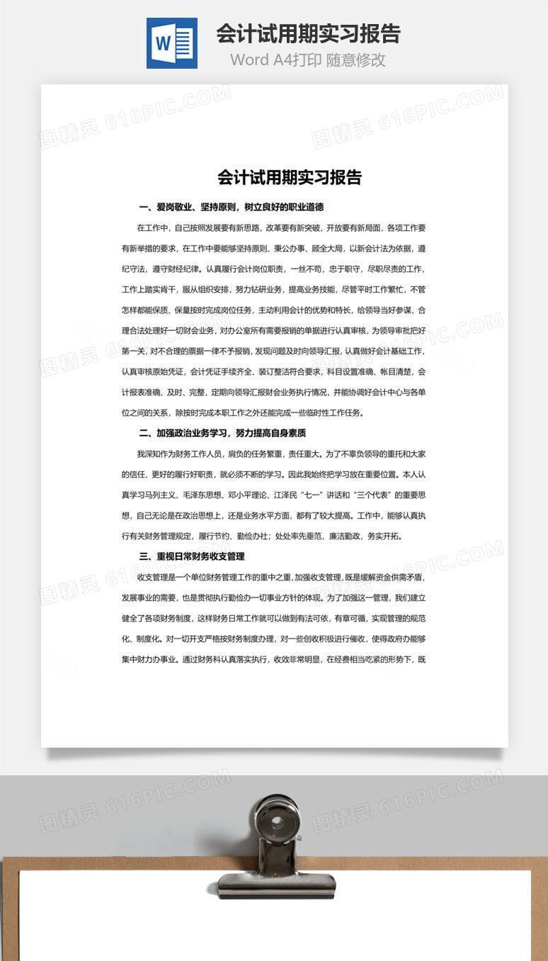 会计试用期实习报告word文档