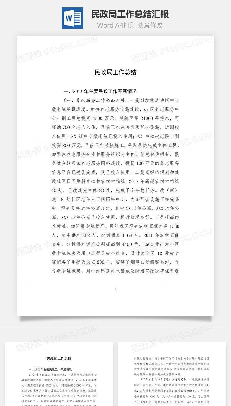 民政局工作总结汇报word文档
