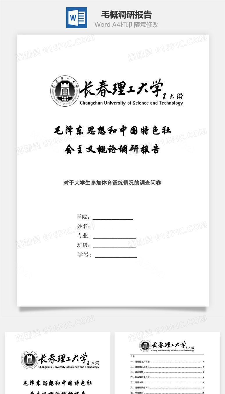 毛概调研报告word文档
