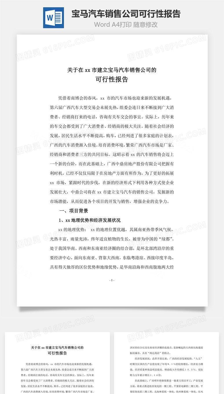 宝马汽车销售公司可行性报告word文档