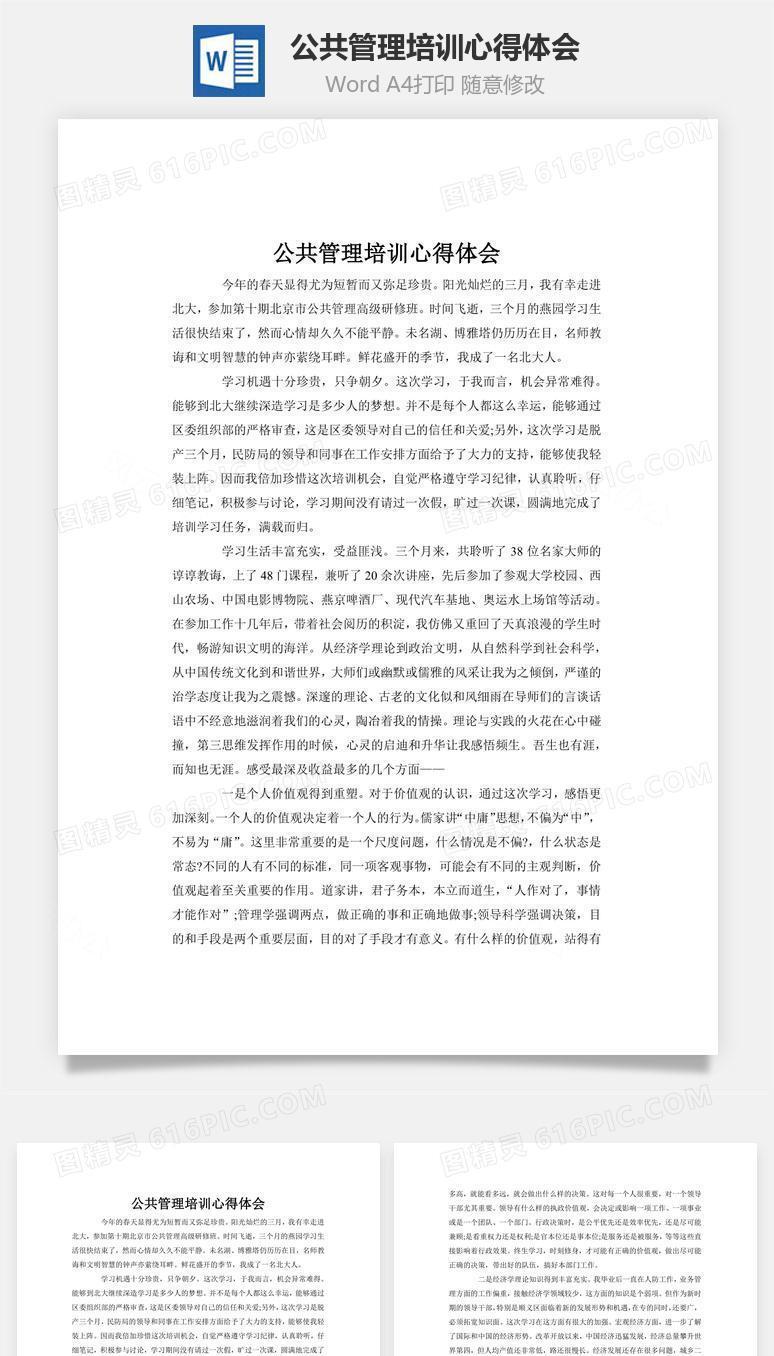 公共管理培训心得体会word文档