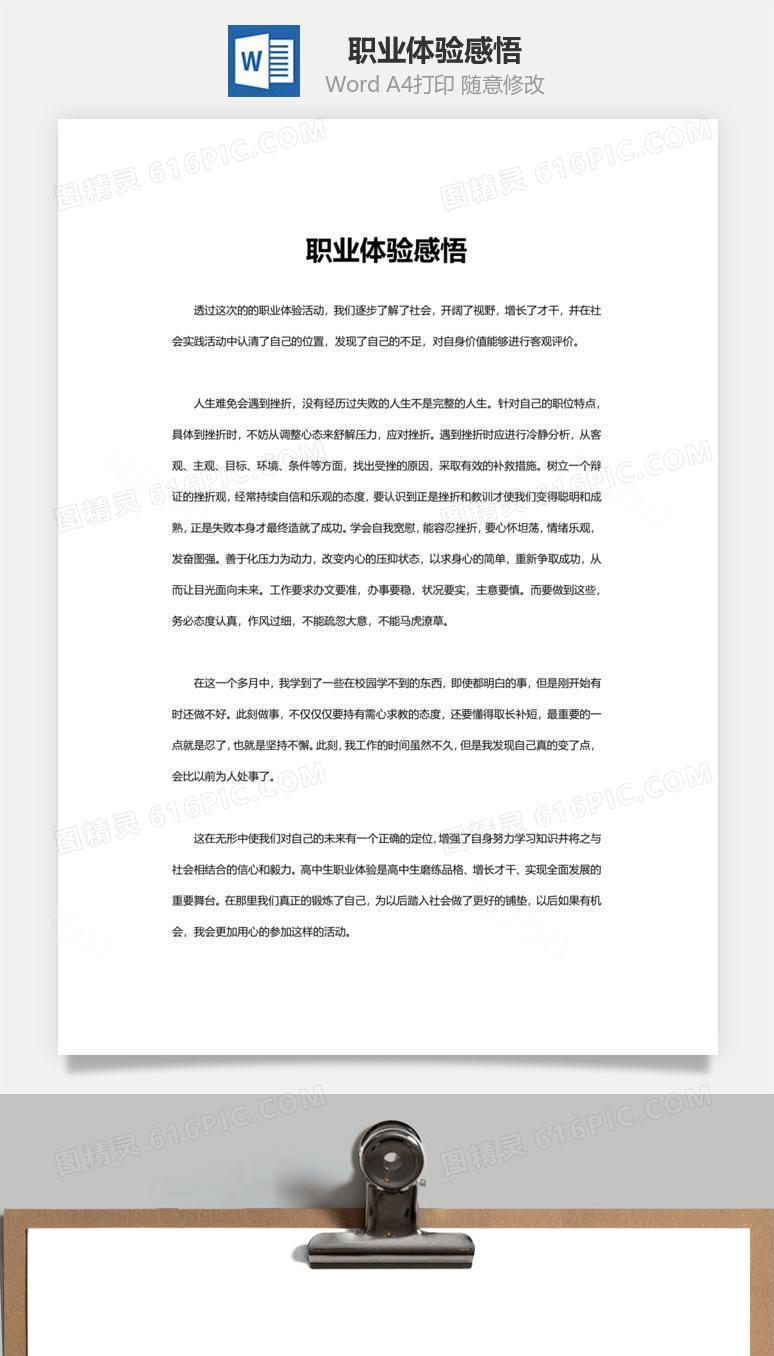 职业体验感悟word文档