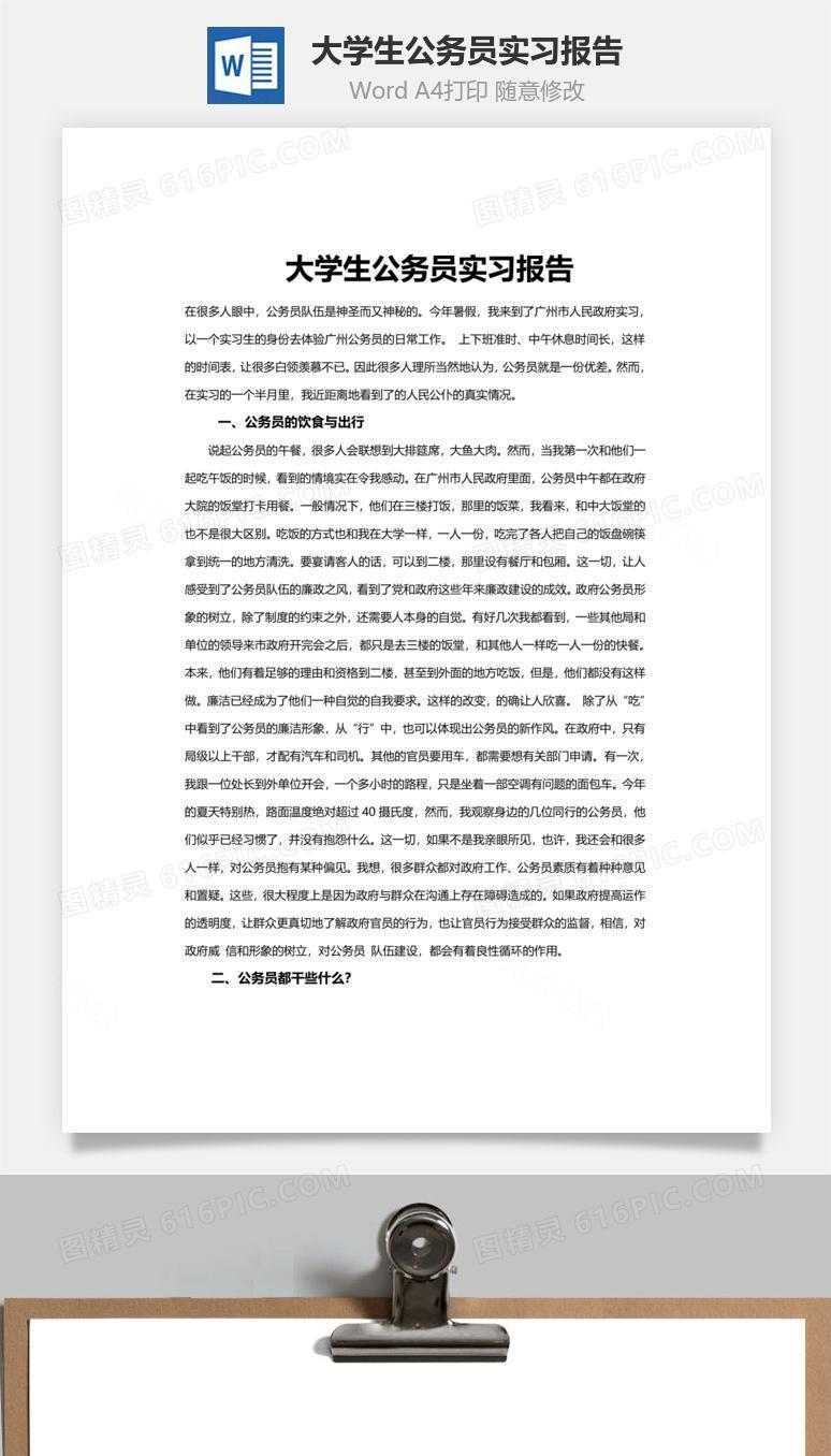 大学生公务员实习报告word文档
