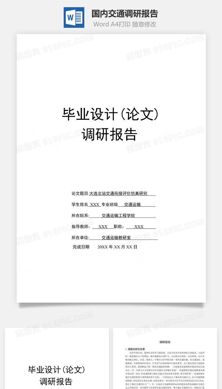 国内交通调研报告word文档