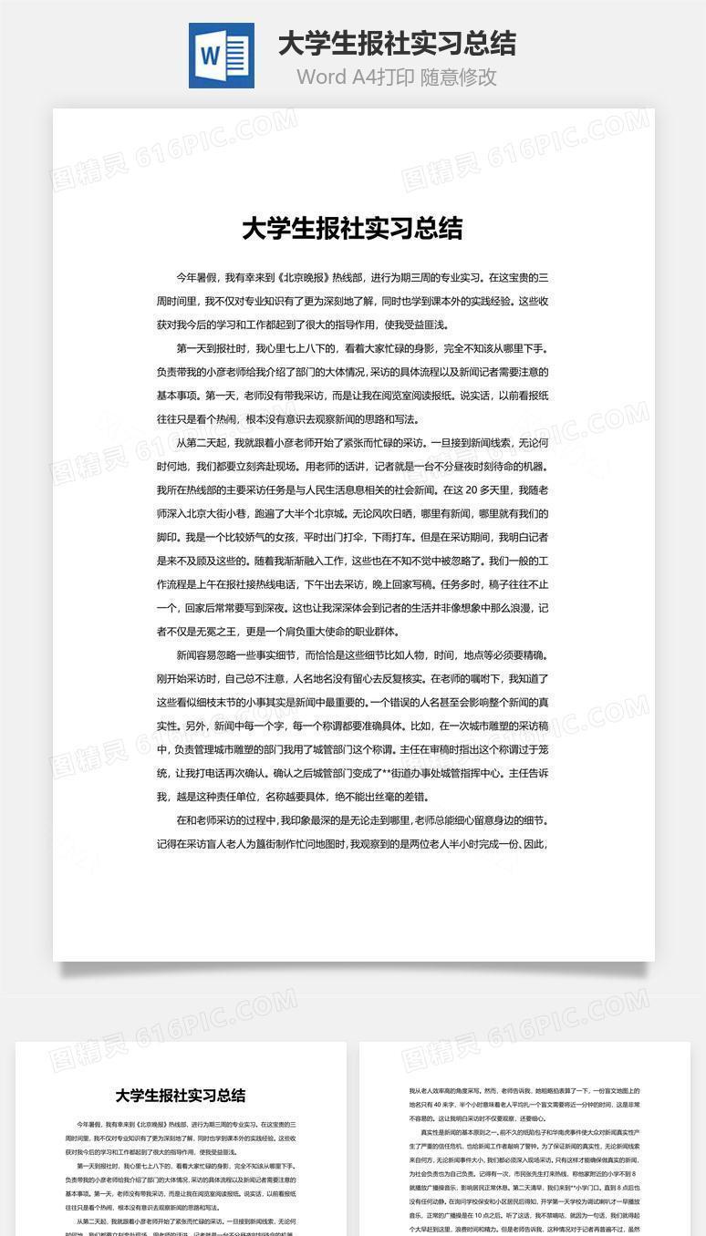 大学生报社实习总结word文档